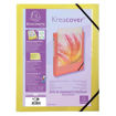 Picture of EXACOMPTA PASTEL BOX FILE FRONT COVER 40MM